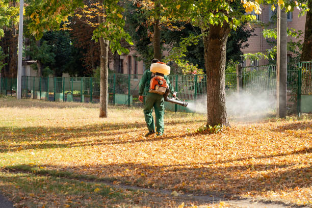 Professional Pest Control in Mint Hill, NC